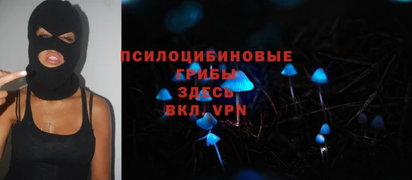 PSILOCYBIN Алексин