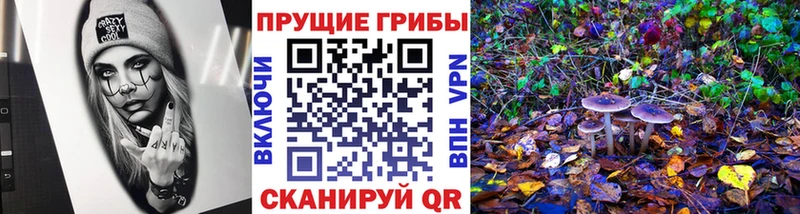 Псилоцибиновые грибы Cubensis Белгород