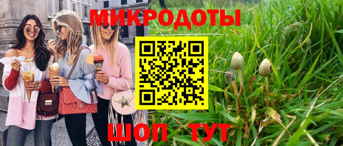 Галлюциногенные грибы мицелий  Галлюциногенные грибы MAGIC MUSHROOMS  Вход с VPN  Белгород 
