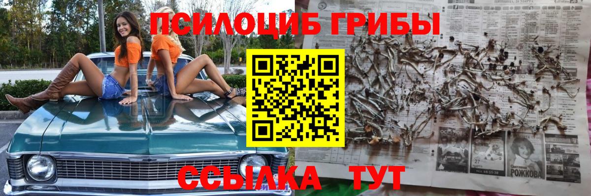 Псилоцибиновые грибы Psilocybine cubensis Белгород